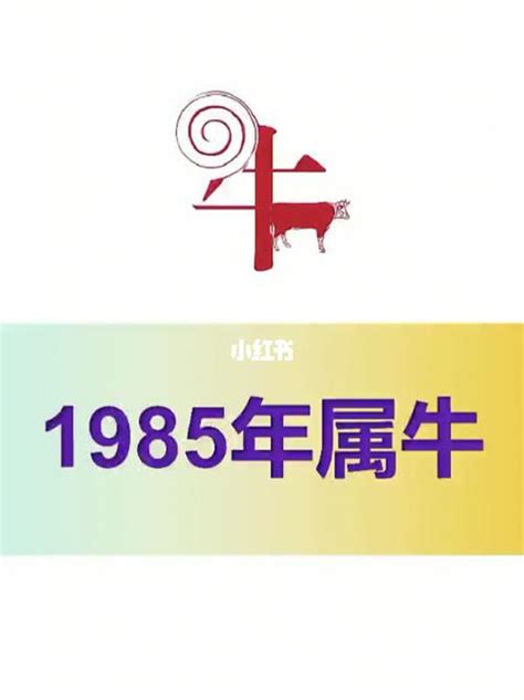 1985年是什么牛